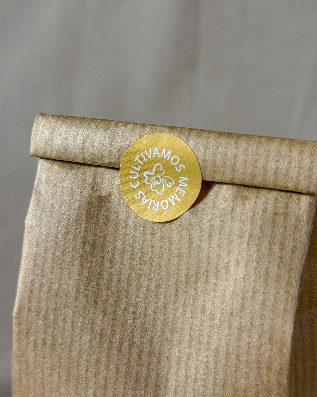 Infusão Radiante Canteiro