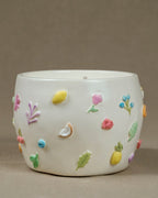 Vela Radiante Canteiro