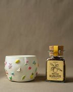 Conjunto Radiante - Canteiro - 