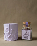 Conjunto Serena - Canteiro - 