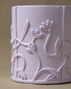 Conjunto Serena - Canteiro - 