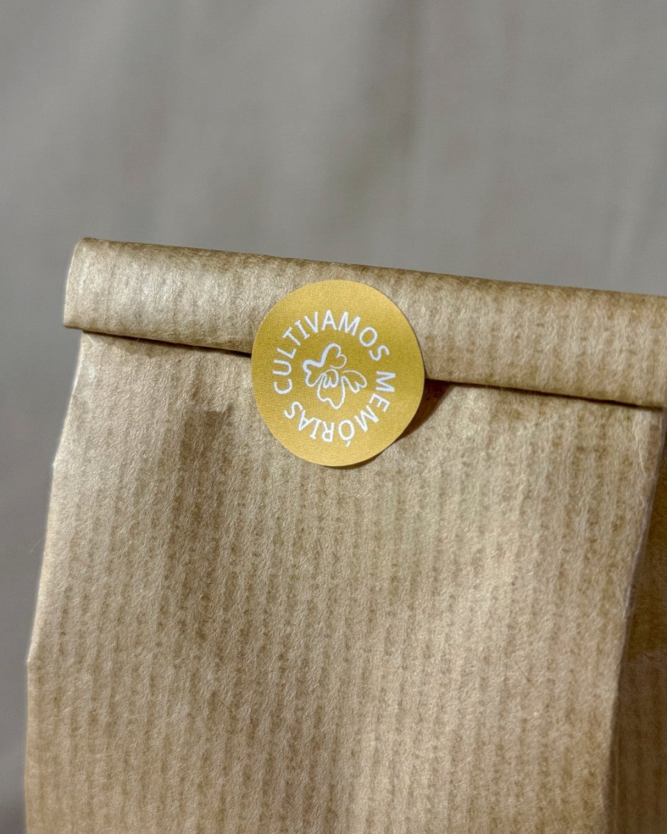 Infusão Radiante - Canteiro - 