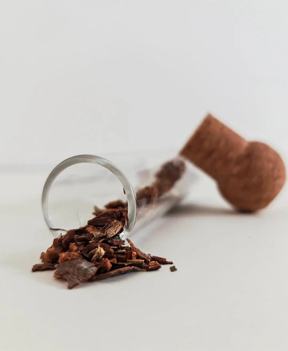 Infusor de Chá em Vidro - Canteiro - 